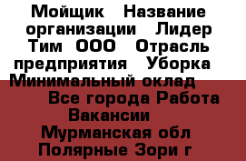 Мойщик › Название организации ­ Лидер Тим, ООО › Отрасль предприятия ­ Уборка › Минимальный оклад ­ 15 300 - Все города Работа » Вакансии   . Мурманская обл.,Полярные Зори г.